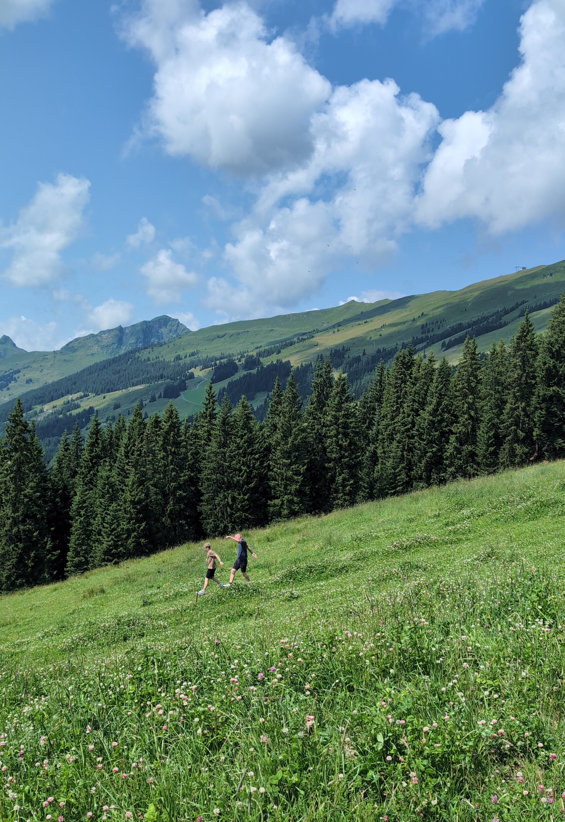 Jongens doen gek op een alpenweide in Saalbach Hinterglemm